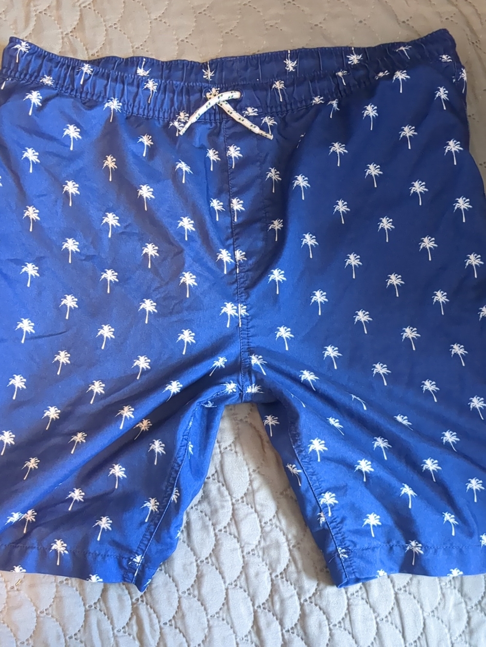 Swim Trunks